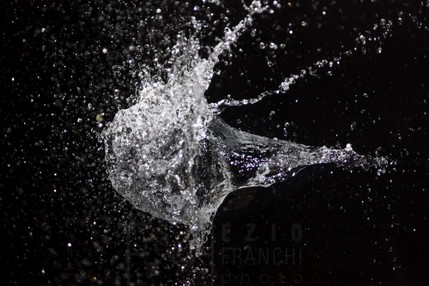Splash_2015-3.jpg
