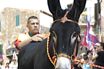 2018-Settembre_Campagnatico 61°Palio dei Ciuchi-25.jpg