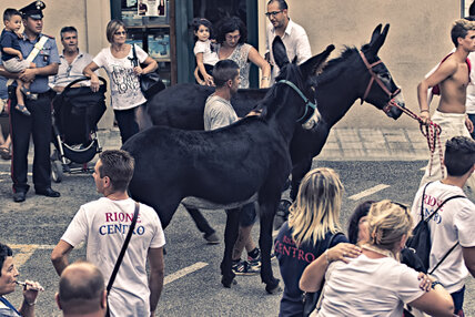 2018-Settembre_Campagnatico 61°Palio dei Ciuchi-77.jpg