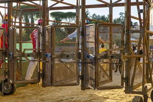 2022-Settembre_Campagnatico Palio dei Ciuchi-167.jpg