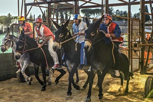 2022-Settembre_Campagnatico Palio dei Ciuchi-169.jpg