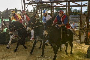 2022-Settembre_Campagnatico Palio dei Ciuchi-170.jpg