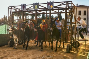 2022-Settembre_Campagnatico Palio dei Ciuchi-171.jpg