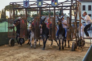 2022-Settembre_Campagnatico Palio dei Ciuchi-173.jpg
